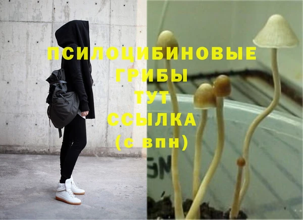 прущие крисы Абдулино