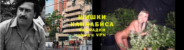 spice Абинск