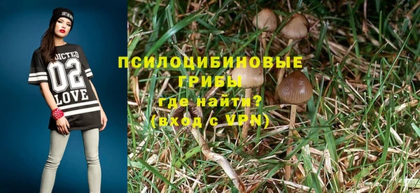 таблы Арсеньев