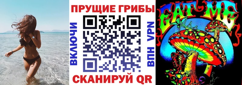 где найти наркотики  Балахна  Галлюциногенные грибы Psilocybine cubensis 